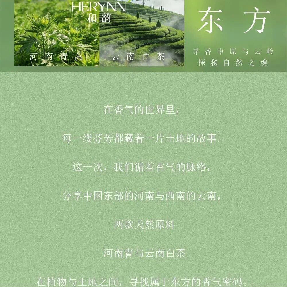 香从东方来 | 寻香中原与云岭，探秘自然之魂